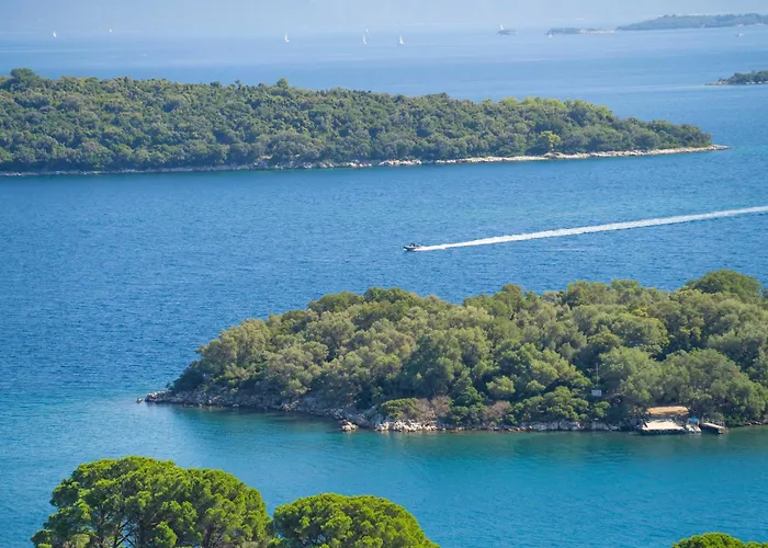 וילה Smirties נידרי